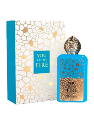 YOU ARE MY FIRE ZAKAT YOU ARE MY FIRE - ZAKAT