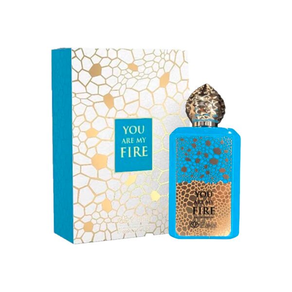 YOU ARE MY FIRE - ZAKAT